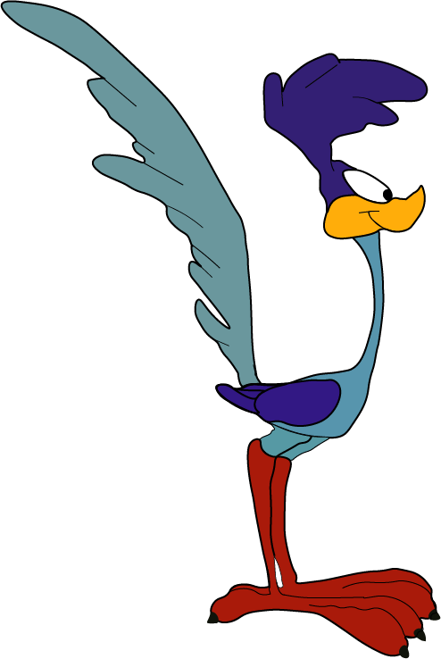 Duck Illustration